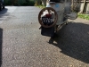 IMG_0317 IMG_0317